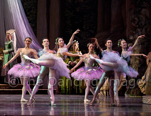 TB Sleeping Beauty Wed.-0116