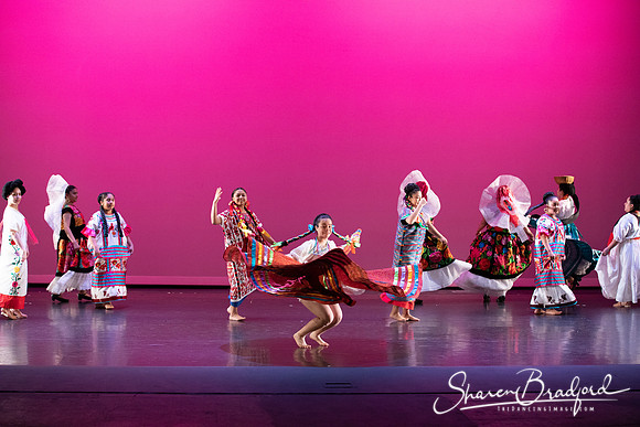 Mujer Oaxaquena pc Sharen Bradford-40844