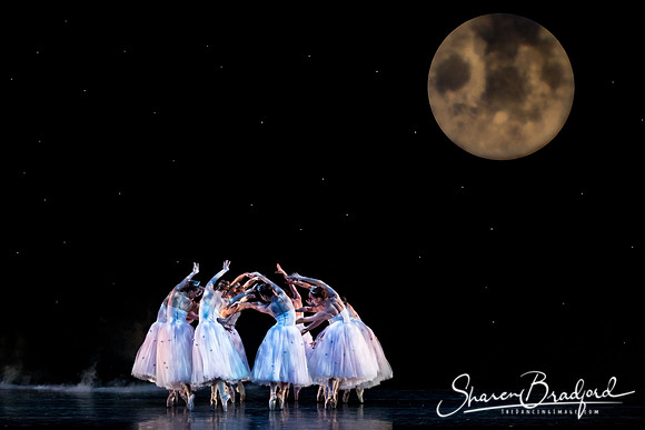 Nutcracker matinee pc Sharen Bradford-5070
