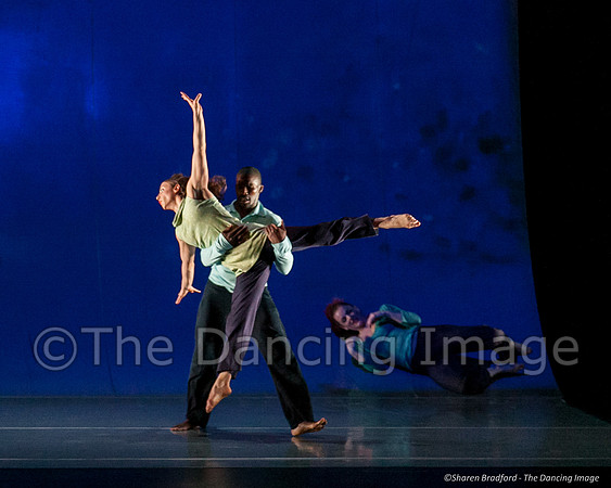 Motionhouse SCATTERED-0216