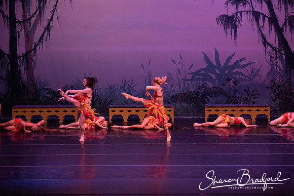 TDC La Bayadere pc Sharen Bradford-3000