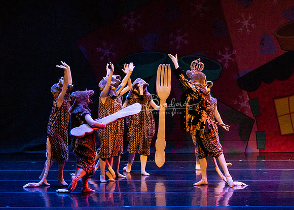 BNT Nutcracker Battle pc Sharen Bradford-0729