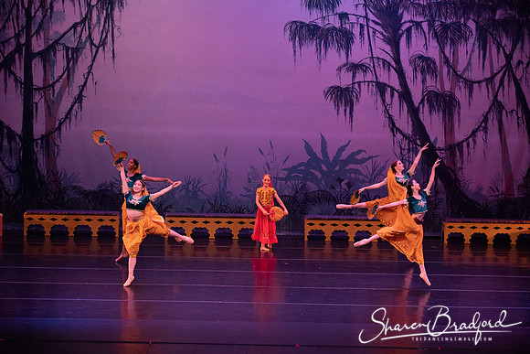 TDC La Bayadere pc Sharen Bradford-2919