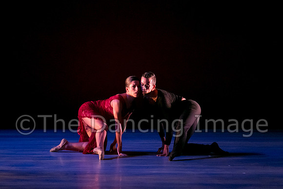 Chado Danse-2825