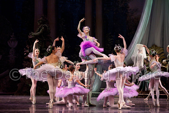 TB Sleeping Beauty Wed.-0040