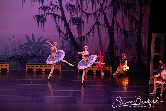 TDC La Bayadere pc Sharen Bradford-3056