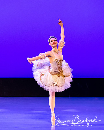 TBT Sleeping Beauty Pas pc Sharen Bradford-1539