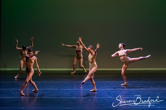 Ballet Dallas Seasons pc Sharen Bradford-1602