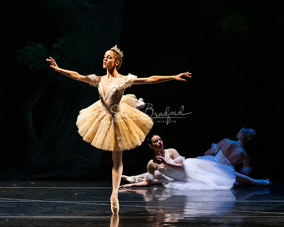 Ballet NTX Sleeping Beauty pc Sharen Bradford-1425