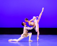 TBT Sleeping Beauty Pas pc Sharen Bradford-1396