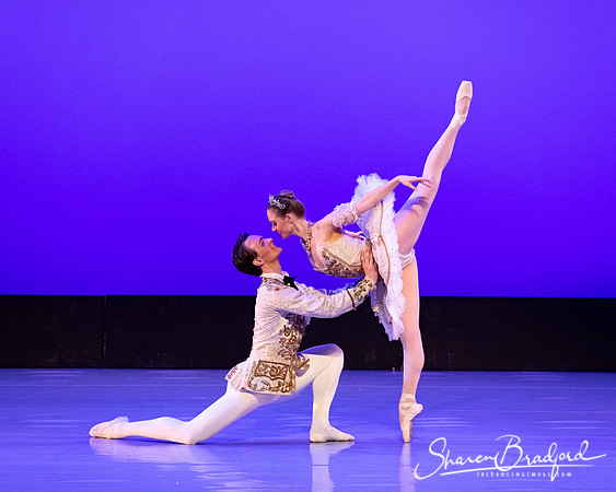 TBT Sleeping Beauty Pas pc Sharen Bradford-1396