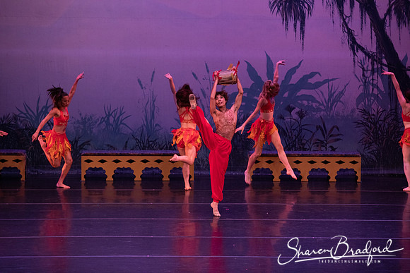 TDC La Bayadere pc Sharen Bradford-2975