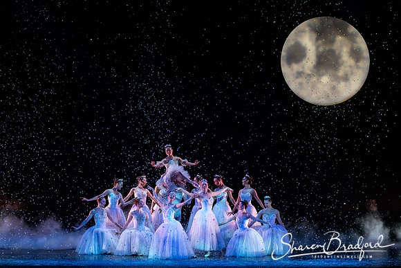 Nutcracker matinee pc Sharen Bradford-5262