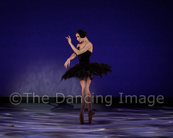 Olga Pavlova_The Dying Swan-3878
