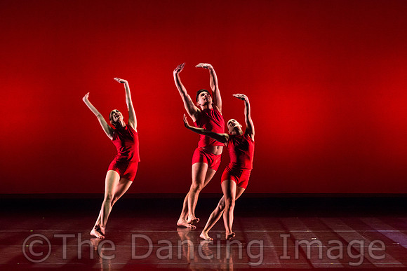 Bruce Wood Dance-6033