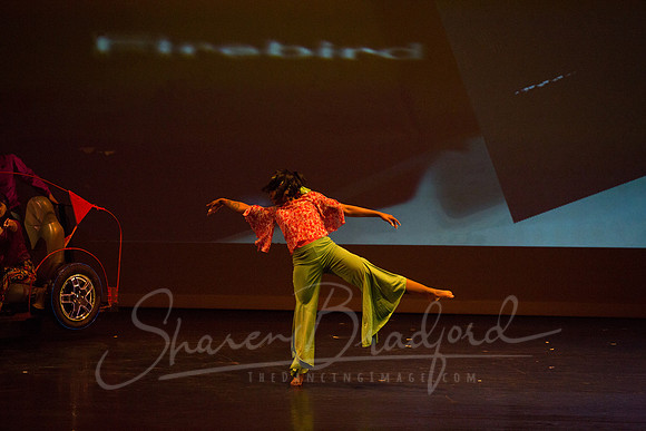 Cruisin to the 70s pc Sharen Bradford-0876