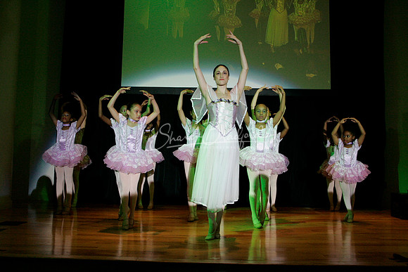 2007 Imagine the Impossible pc Sharen Bradford-0103