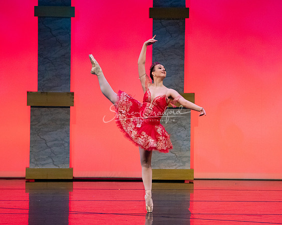 Ballet NTX Sleeping Beauty pc Sharen Bradford-0152