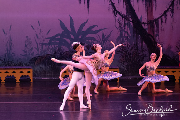 TDC La Bayadere pc Sharen Bradford-3165