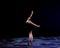Olga Pavlova_The Dying Swan-3850