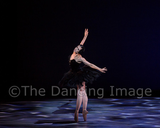 Olga Pavlova_The Dying Swan-3850