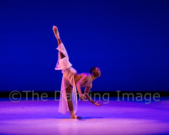 Jared Brown-4809