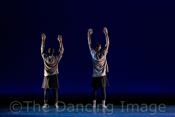 Coyotes Tip Toe-2607