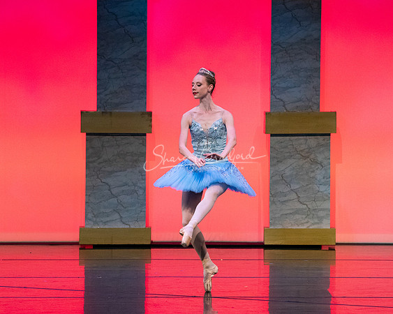 Ballet NTX Sleeping Beauty pc Sharen Bradford-0133