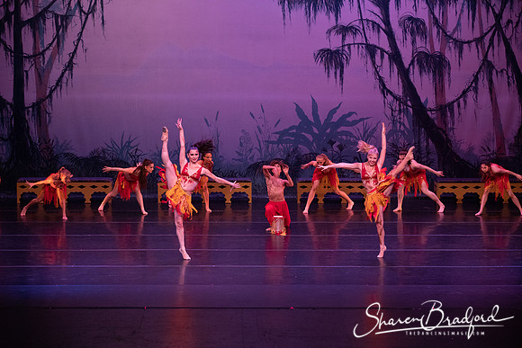 TDC La Bayadere pc Sharen Bradford-3013