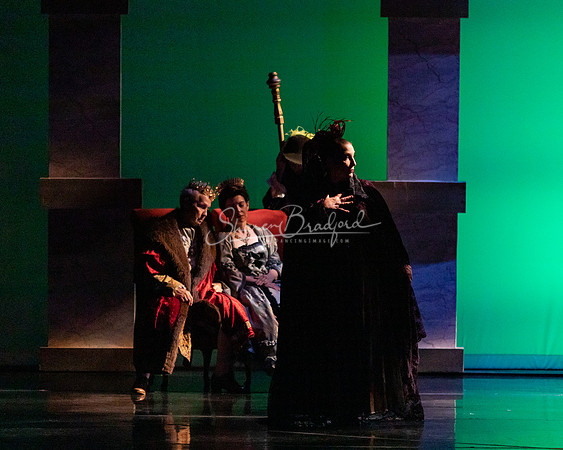 Ballet NTX Sleeping Beauty pc Sharen Bradford-1578