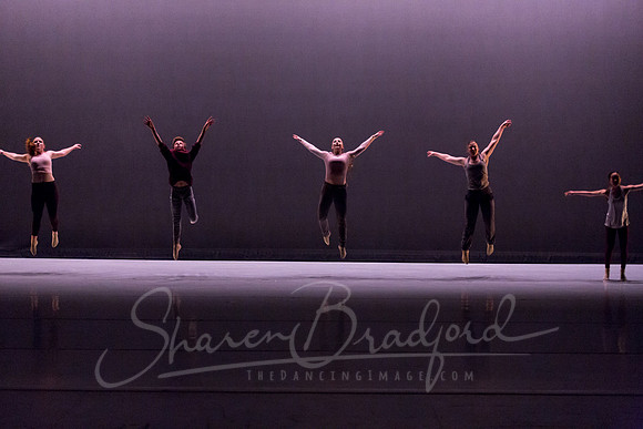 Peculiarity pc Sharen Bradford-7228