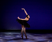 Olga Pavlova_The Dying Swan-3857