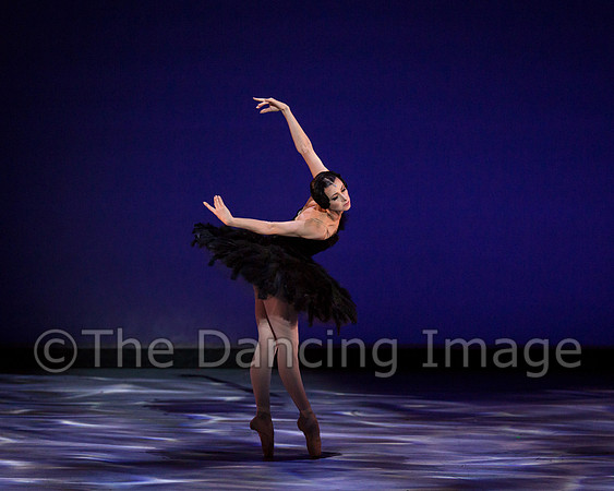 Olga Pavlova_The Dying Swan-3857