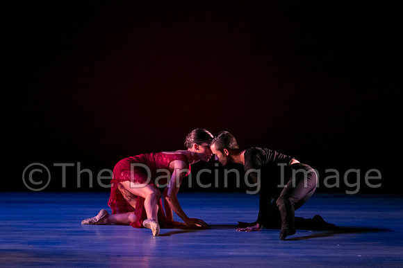 Chado Danse-2827