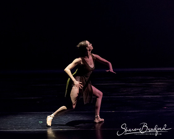 Ballet Dallas Seasons pc Sharen Bradford-1348