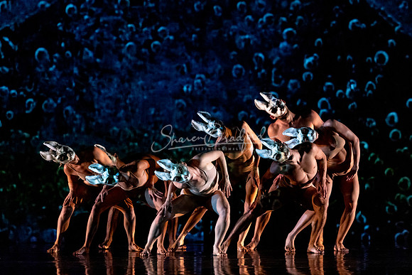 MOMIX Alice pc Sharen Bradford-0170