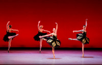 Texas Ballet Theater School-1541