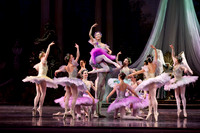 TB Sleeping Beauty Wed.-0042
