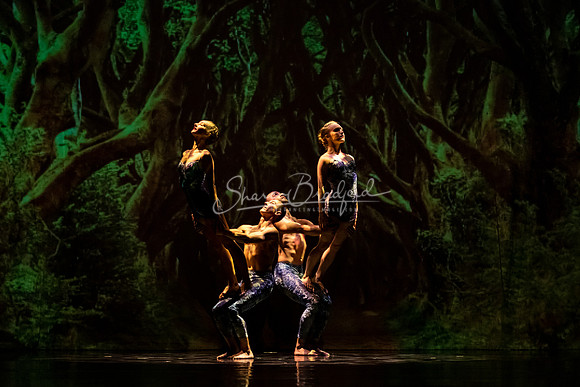 MOMIX Alice pc Sharen Bradford-0844