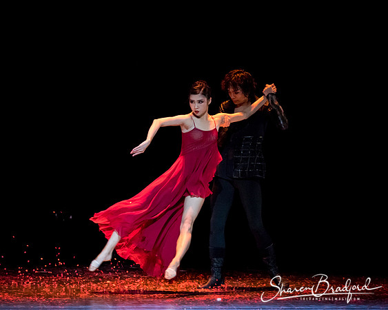 Beijing Dance Theater pc Sharen Bradford-0350
