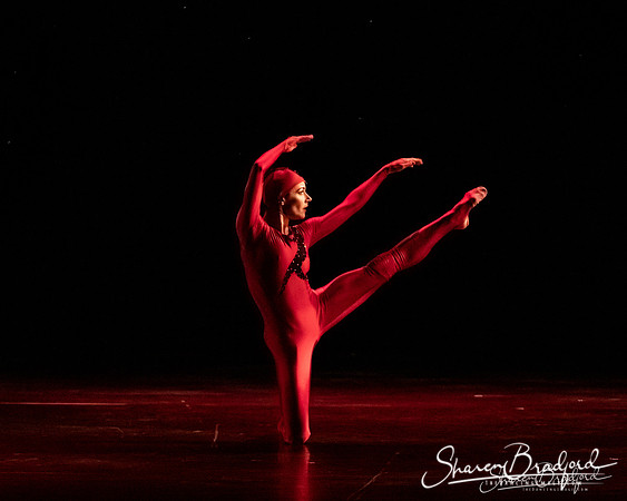 MOMIX Cactus Wren-Morning Star pc Sharen Bradford-0089
