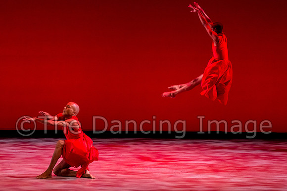 DBDT_Memoirs-3754