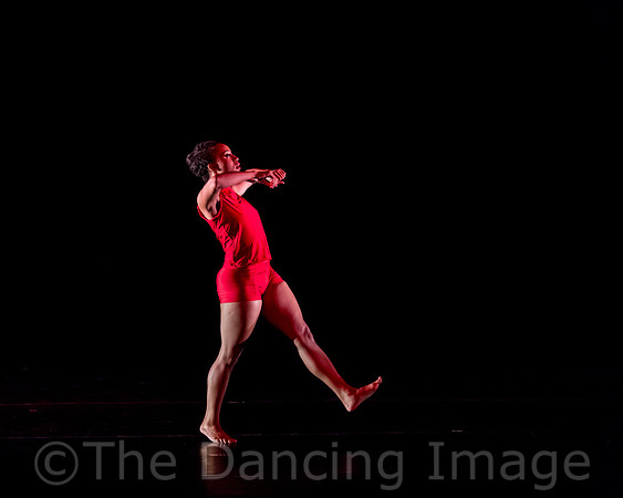 RED-1134