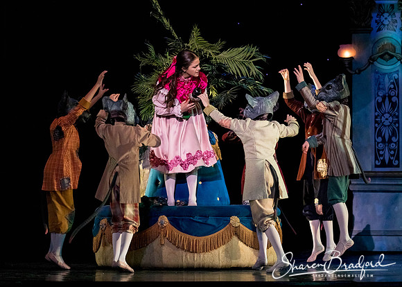 Nutcracker dress pc Sharen Bradford-3119