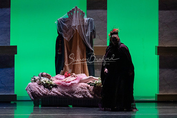 Ballet NTX Sleeping Beauty pc Sharen Bradford-1574