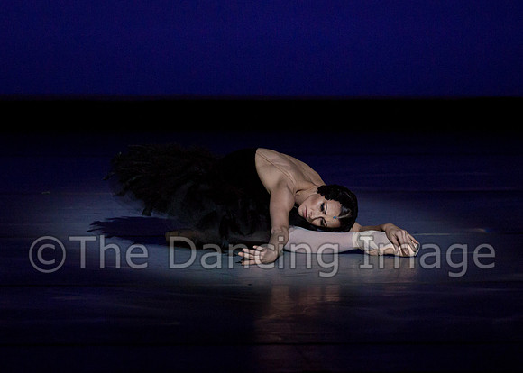 Olga Pavlova_The Dying Swan-3942
