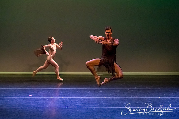 Ballet Dallas Seasons pc Sharen Bradford-1563