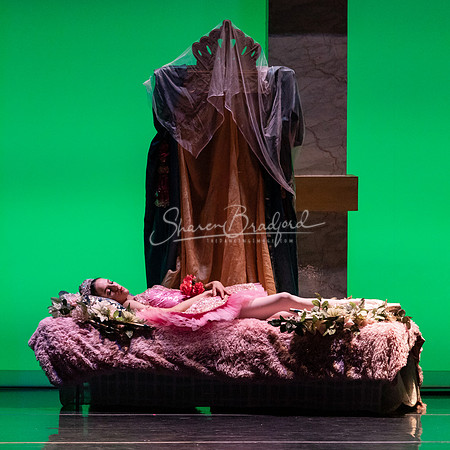 Ballet NTX Sleeping Beauty pc Sharen Bradford-1576