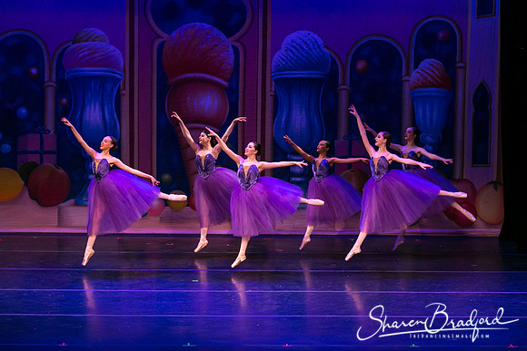 Waltz of the Flowers pc Sharen Bradford-1774