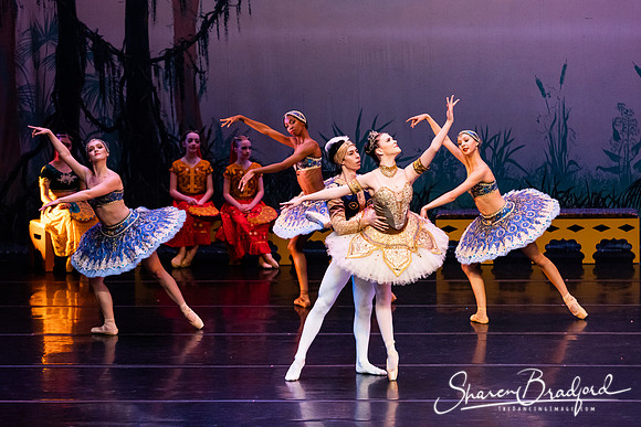 TDC La Bayadere pc Sharen Bradford-3161